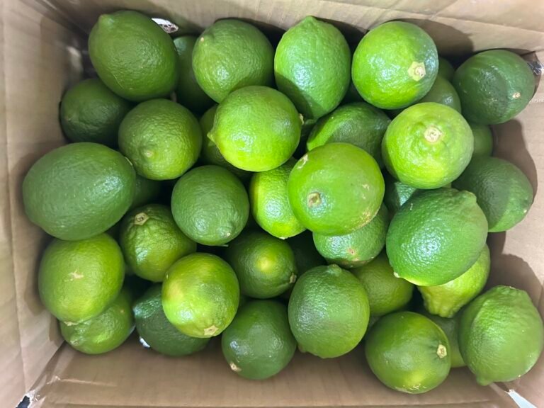 Fresh Seedless Lime