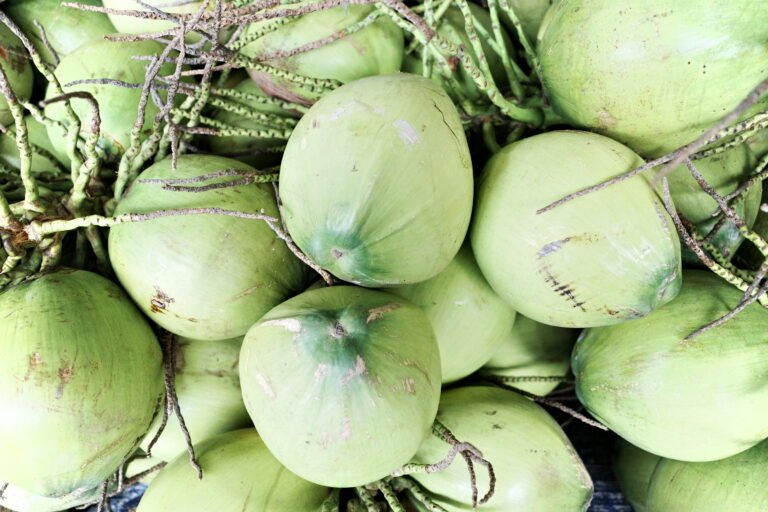 Discover the Unique Coconuts of Vietnam: A Journey into Quality and Tradition